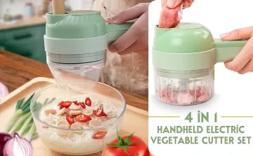 4 in 1 Handheld Electric Vegetable Cutter Set, Mini Wireless Electric  vegetables chopper, Electric Garlic Mud Masher for Ginger, Chili, Fruit,  Meat