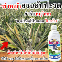 ?สูตรเข้มข้น?กำจัดหญ้าไร่มัน กำจัดหญ้าสับปะรด กำจัดหญ้าใบแคบ ใบแหลม ฉีดทับ แตงกวา กำจัดหญ้าผัก กำจัดหญ้า ชุดกำจัดหญ้า กำจัดหญ้าใบแคบ ฆ่าหญ้ามัน ฆ่าหญ้าในมัน ฆ่าหญ้าไร่มันสับปะรด