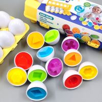 ป่าร้อน LIN431 - ♀ 6pcs Eggs for Children Educational Math Kids Color Recognize Match Easter Egg