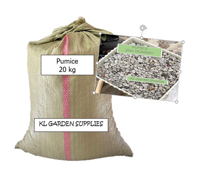Pumice Volcanic Stones 20kgs Size MONGGO for Cactus, Succulents and