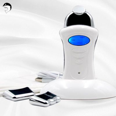 Electric Cosmetic Instrument Beauty Micro Current SPA Nutrition Galvanic Spa Massager Handheld Personal Face Lift Facial Toning