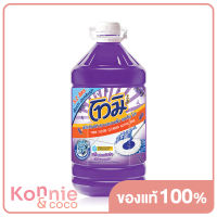 Tomi Floor Cleaner Violet Hokkaido Lavender 5200ml