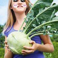 เมล็ดพันธุ์ กะหล่ำ ปมยักษ์  Superschmelz Giant White Kohlrabi Seed 200 เมล็ด คุณภาพดี ราคาถูก ของแท้ 100%