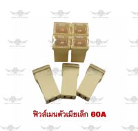 ฟิวส์เมนตัวเมียเล็ก 60 A