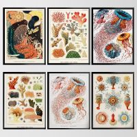 Luyameishop Vintage Marine Life โปสเตอร์พิมพ์สำหรับตกแต่งห้องครัว Lobster แมงกะพรุน Coral ภาพวาดผ้าใบ Wall Art ภาพวิทยาศาสตร์โปสเตอร์ Modern