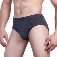 5 Pcslot Male Briefs Cotton Men y Breathable Underwear Underpants