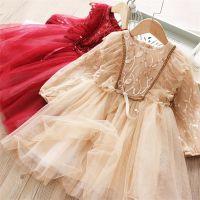 Long Sleeve Baby Girls Clothes for Autumn Winter 3 6 8 Yrs Kids Birthday Princess Party Dresses Spring Children Casual Clothing