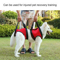 Dog Support Harness Dog Front Leg Harness Adjustable for Pets