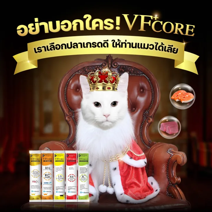 vf-core-อาหารเสริมบำรุงร่างกายแบบเลีย-สำหรับสุนัขและแมว-30-ซอง