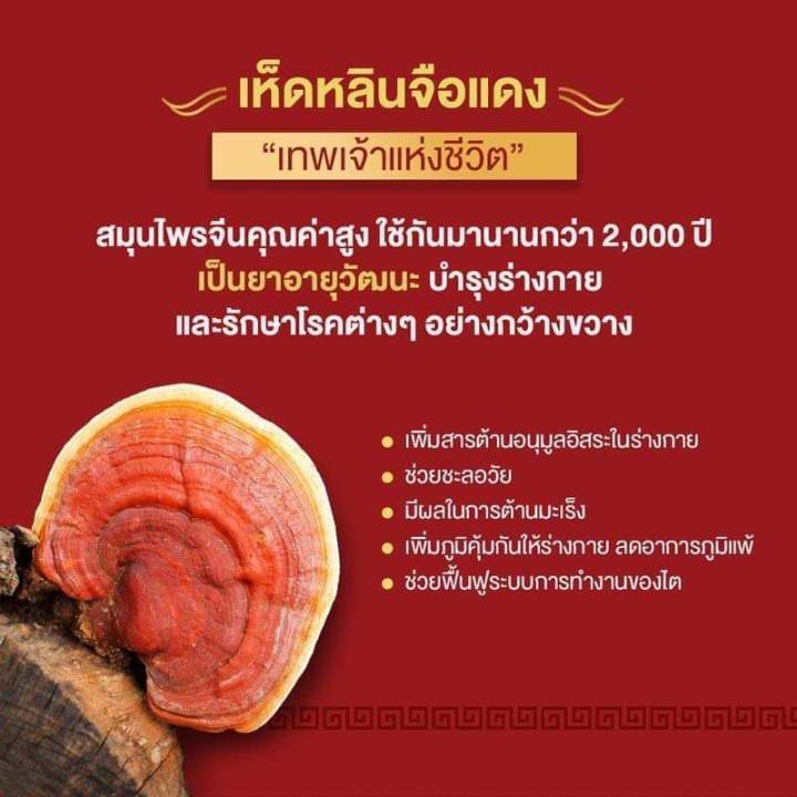 ส่งฟรี-กาแฟเห็ดหลินจือ-กาแฟเพื่อสุขภาพ-กาแฟปรงสำเร็จ-3-in-1-ผสม-เห็ดหลินจือ-20-ชอง-210-บาท-giffarine-กิฟฟารีน-ของแท้