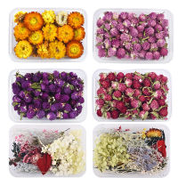 【cw】1 Mixed Real Dried Flowers Dry Plants Pressed Flowers For DIY Epoxy Resin Jewelry Making Pendant Necklace Crafts Accessories ！