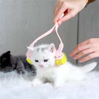 Pet Massager Cat Massage Brush Roller Massage Comb to Relax Muscle Cross-border Cat Massager New Product Pet Care Supplies Brushes  Combs