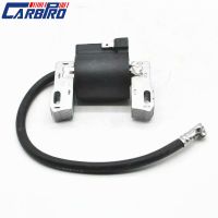 Ignition Coil For Briggs &amp; Stratton 590455 793354 799382