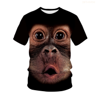 3d 2023 the Latest Monkey Printed T-shirt, Hip-hop Style, Street Style, Boys And Girls Fashion Fashion Versatile Style