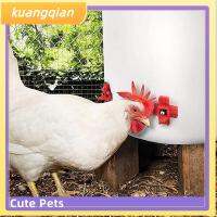 KUANGQIAN ช่องจ่ายน้ำสำหรับนักดื่มตัวให้น้ำไก่ประเภท S อุปกรณ์เสริมทั่วไป