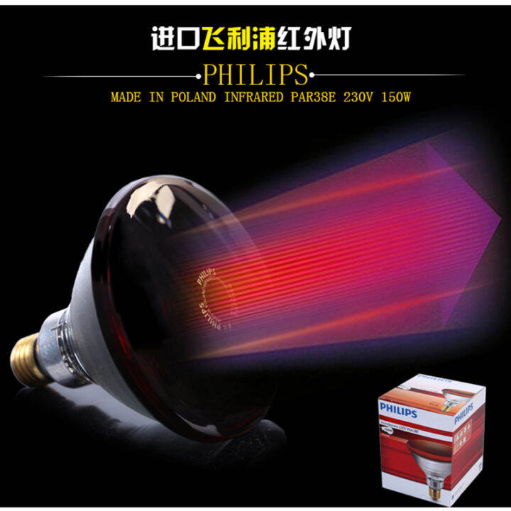 Authentic imported Philips light bulb crane CQ61 far infrared