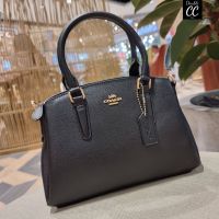 (Factory) F28977 MINI SAGE CARRYALL