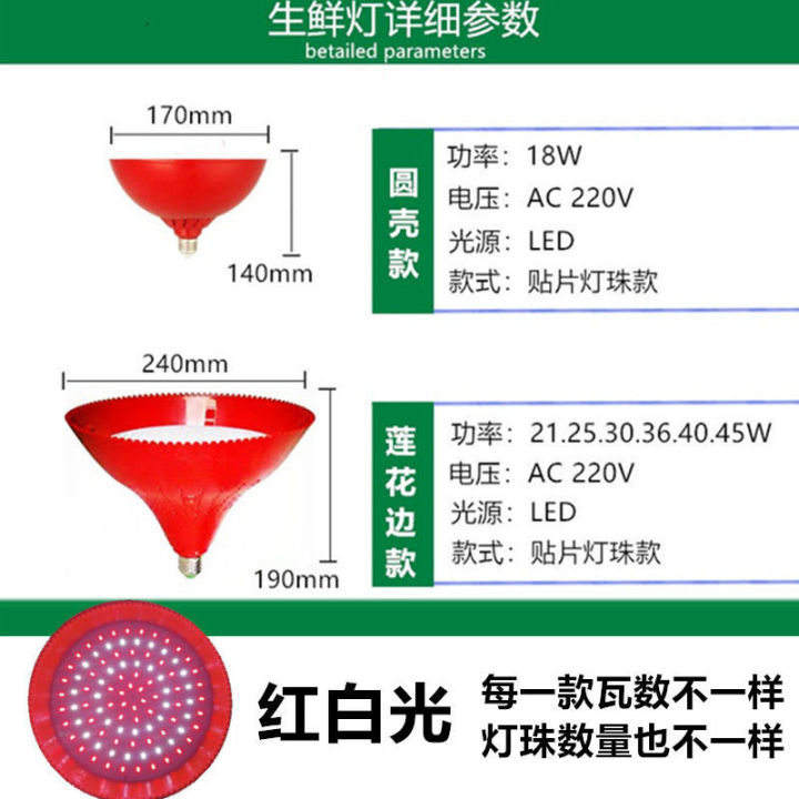 2023-โคมไฟผักตุ๋น-ไฟอาหารปรุงสุก-ไฟเป็ดย่าง-สำหรับอาหารปรุงสุก-โคมไฟ-ไฟเดลี่-ไฟผลไม้สด-โคมไฟอาหารทะเล