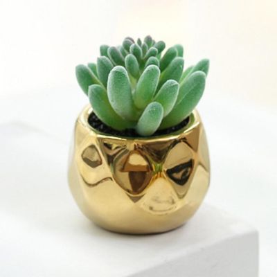 Plant for Garden Cute Mini Succulent Bonsai Golden Ceramic Pots PVC Faux Succulents Mini Potted Desktop Decor Artificial Gift