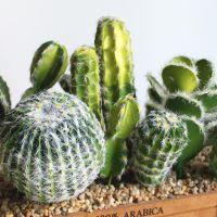 Simulation Cactus Realistic Succulent Plants Artificial Plastic Desert Plants For Home Desktop Landscape Decoration Supplies Artificial Flowers  Plant