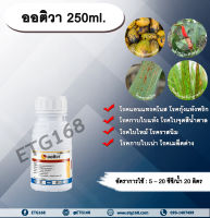 ?ออติวา 250ml. ไดฟีโนโคนาโซล+อะซอกซีสโตรบิน สารป้องกันกำจัดโรคพืช กำจัดเชื้อรา โรคกาบใบแห้ง โรคกาบใบเน่า โรคใบจุดสีน้ำตาล ETG168