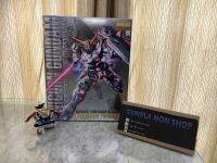 Mg 1/100 Unicon Gundam Twin Frame Titanium Finish