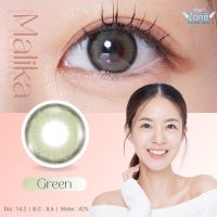 คอนแทคเลนส์รุ่น Malika (Workday ใส่สบายวันทำงาน) แบรนด์ Angelzone Contactlens พรีเมี่ยม