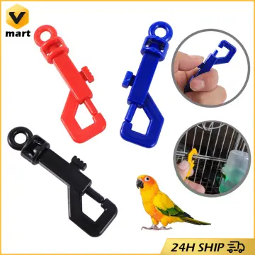 Shop Rope Cum Buckle Tie Down With Hook with great discounts and prices  online - Feb 2024