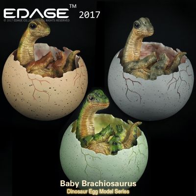 Hong Kong EDAGE Eden Jurassic dinosaur Brachiosaurus egg baby sculpture resin model toy gift