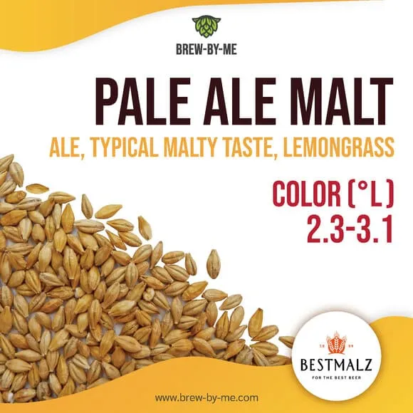 มอลต์ Pale Ale Malt BESTMALZ Malt ทำเบียร์ Lazada.co.th
