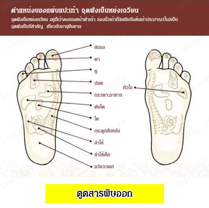 luoaa01-มันแย่มาก-ช่วยให้เท้าไม่เกิดแพ้ท้อง