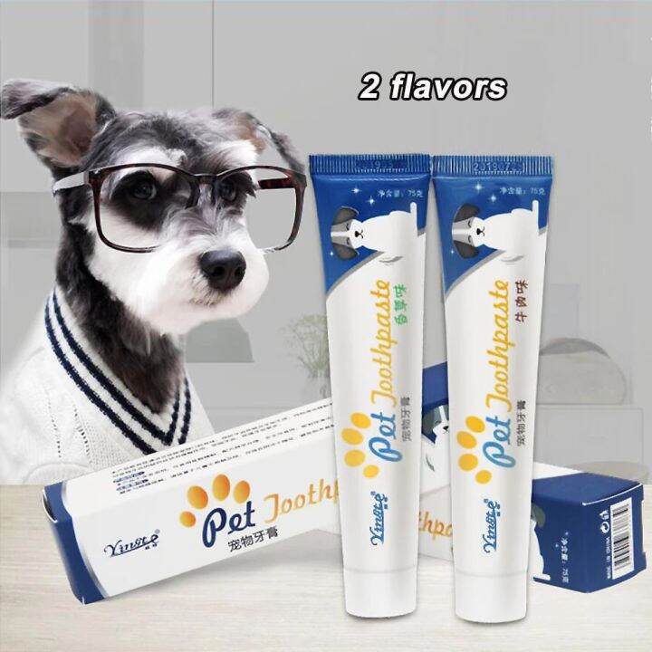 Yingte Pet Toothpaste 75g Lazada PH