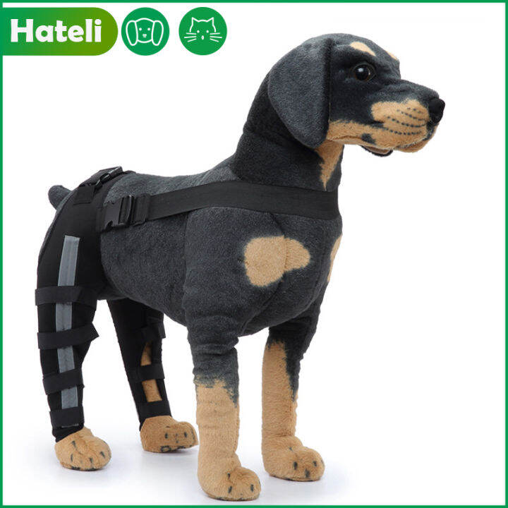 HATELI Dog Leg Protection Knee Brace Adjustable Reflective Knee Pads