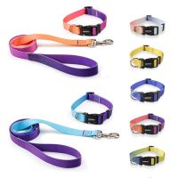 ไนลอนปรับปลอกคอสุนัขสัตว์เลี้ยงแมวปลอกคอสุนัข Traction Leash เหมาะสำหรับสุนัขขนาดเล็ก Bulldog Pugs Beagle-WIOJ SHOP