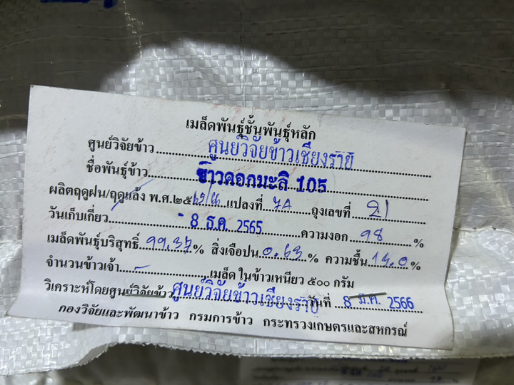 เมล็ดพันธุ์ข้าว-หอมมะลิ-พันธุ์ขาวดอกมะลิ105-ชั้นพันธุ์หลัก-ผลิตโดย-ศูนย์วิจัยข้าว-กรมการข้าว