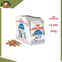 ✨ส่งฟรี ส่งด่วน[ยกกล่อง 12 ซอง] Royal Canin Indoor Pouch Jelly อาหารเปียกแมวโต เลี้ยงในบ้านและทำหมัน อายุ 1 ปีขึ้นไป  จัดส่งฟรี ✨