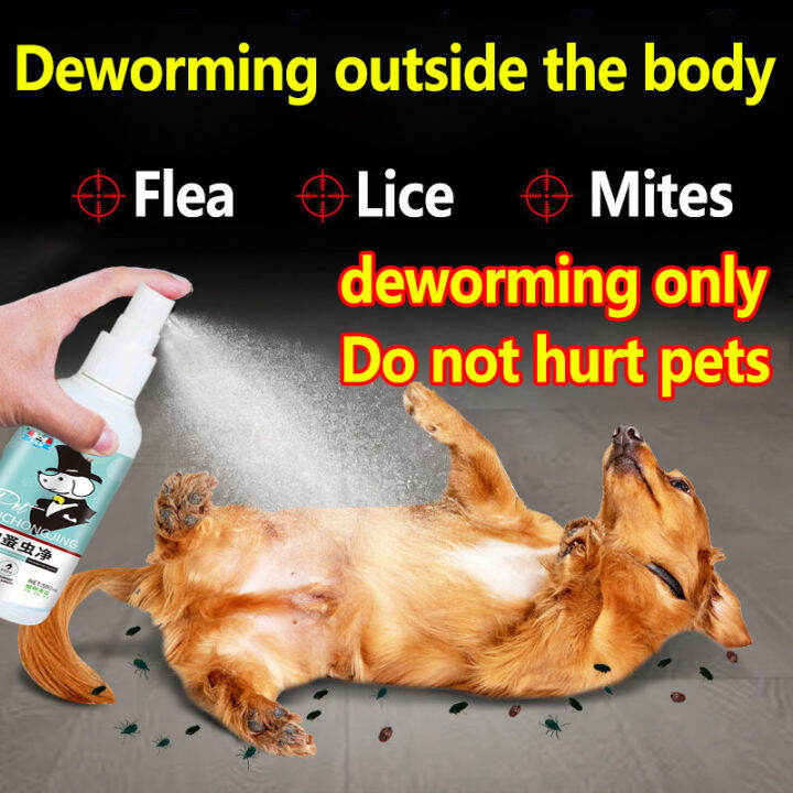 Petstone Tick and Flea Killer for Dogs 100 Effective Dog Flea and Tick Remover Natural Herbal