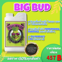 Big Bud !!! (ปุ๋ยเสริมดอก ที่ได้รับความนิยมอย่างมากจาก USA)  100ml