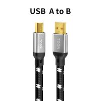 todn usb dac cable type c to type b hifi Stereo cable 6N OFC Data audio digital Cable for mobile phone dac