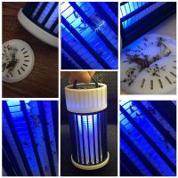 Mosquito Lamp,USB Electric Bug Zapper 360°UV Fly Zapper, Portable Bug Killer Light Indoor&amp;Outdoor for Bedroom Hotel