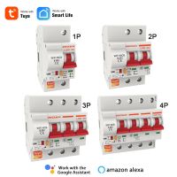 Tuya Smart Life 1 2 3 4 Phase Din Rail WIFI Circuit Breaker Switch MCB Recloser Overload Short Circuit Protection Alexa Remote Breakers Load Centers