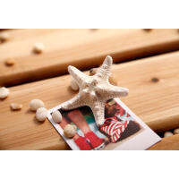 1pc Sweet Star Starfish Girls Womens Xmas Beach Gift Hair Clip