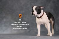 Mr.Z Studio 1:6 American Staffordshire Terrier Dog Pet Healing Figure Canidae Animal Model Toy Collector Desktop Decor Adult