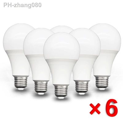 6pcs/lot E27 LED bulb AC 220V SMD2835 3W 6W 9W 12W 15W 18W 20WLED lamp Saving Cold Warm White Led Bulbs for Outdoor Light