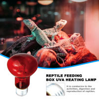 หลอดไฟความร้อนสัตว์เลื้อยคลาน UVA Baskin Heat Light Heating Light For Reptiles And Amphibian Use Basking Light For Turtle Bearded