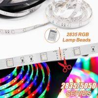 DC 12V 5m 5050/2835RGB strip 60led/m light strip living room waterproof background wall light night bedroom atmosphere light Night Lights