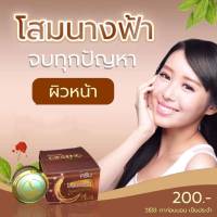 ครีมโสมนางฟ้าSpeedWhitePlus ( Premium Ginseng )ของแท้ดั้งเดิม100% ขนาด 20กรัม สูตรกลางคืน ( 1 ตลับ )