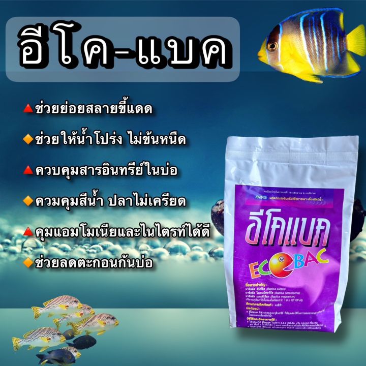 จุลินทรีย์ย่อยสลายของเสีย-ก้นบ่อ-กำจัดกลิ่น-ขี้แดด-ลดแอมโมเนีย