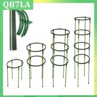 4Pcs Plastic Plant Support Pile Orchid Stand Holder For Flowers Semicircle Greenhouses Fixing Rod Holder Bonsai QB7LA Shop