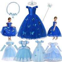 【CC】 Cinderella Up Kids Fluffy Bead Birthday Costume Sleeveless